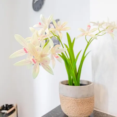6 Stylish & Comfortable , Heart Of Apartament Gandawa